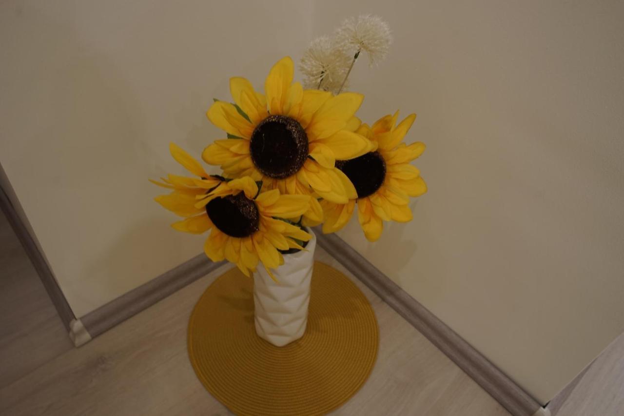 Csengo Vendeghaz Hotel Kiskoros Buitenkant foto