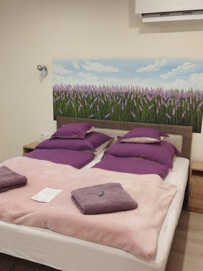 Csengo Vendeghaz Hotel Kiskoros Buitenkant foto